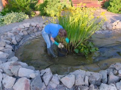 Pond filters