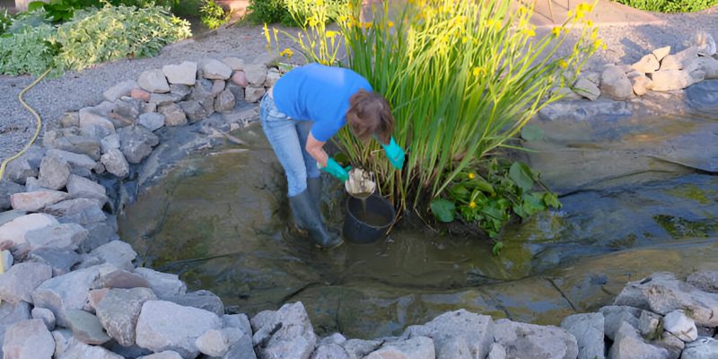 Pond filters